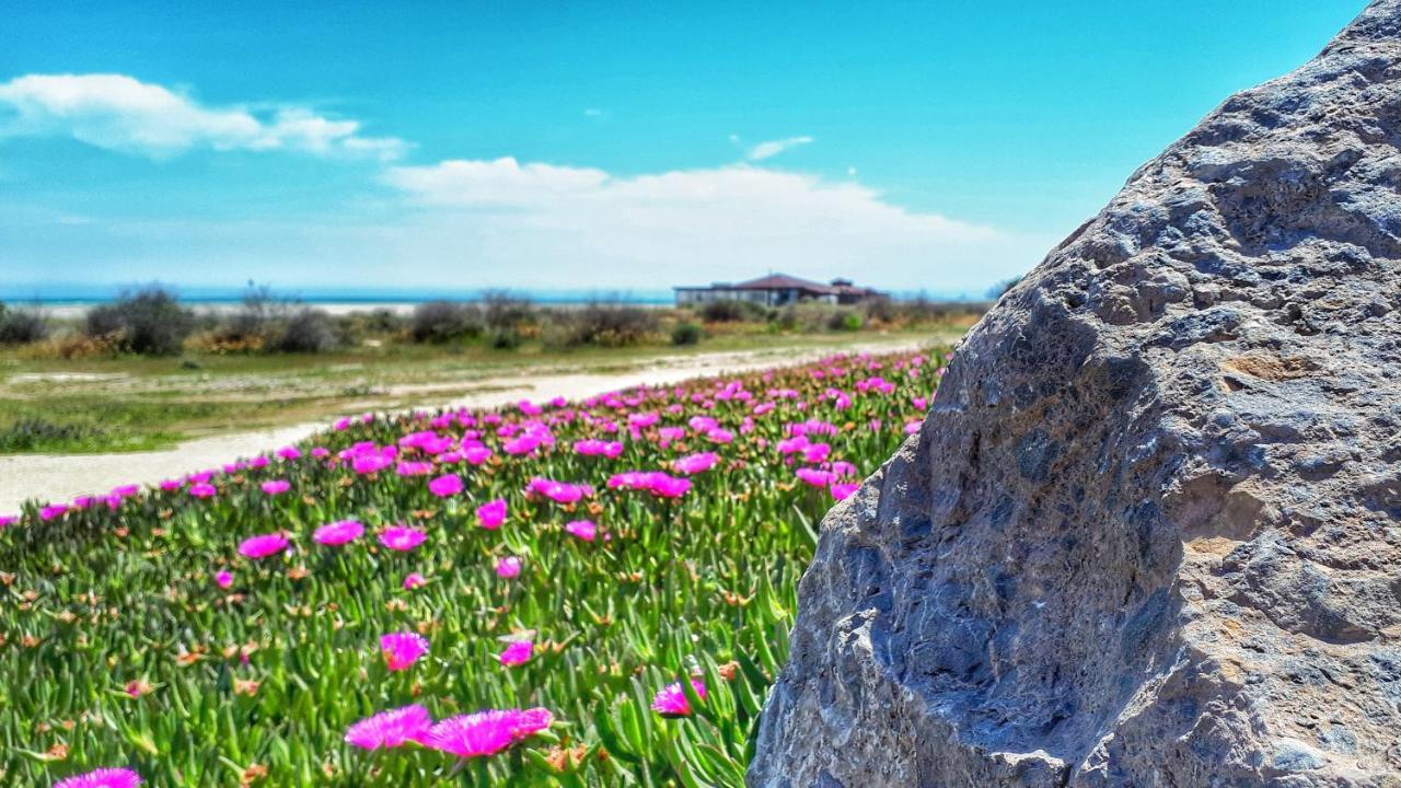 Atico Pinar De Garrucha Con Vistas Al Mar-Gran Terraza Appartement Buitenkant foto